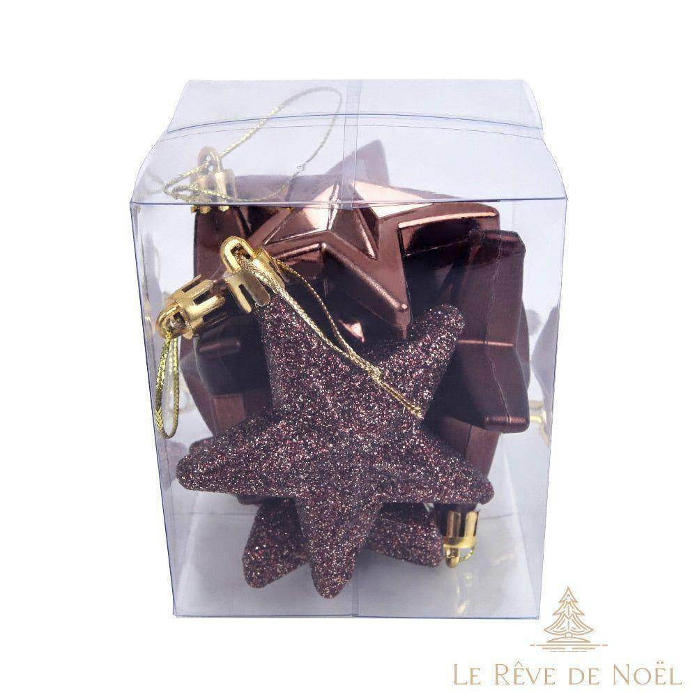 Étoile de noël : Marron