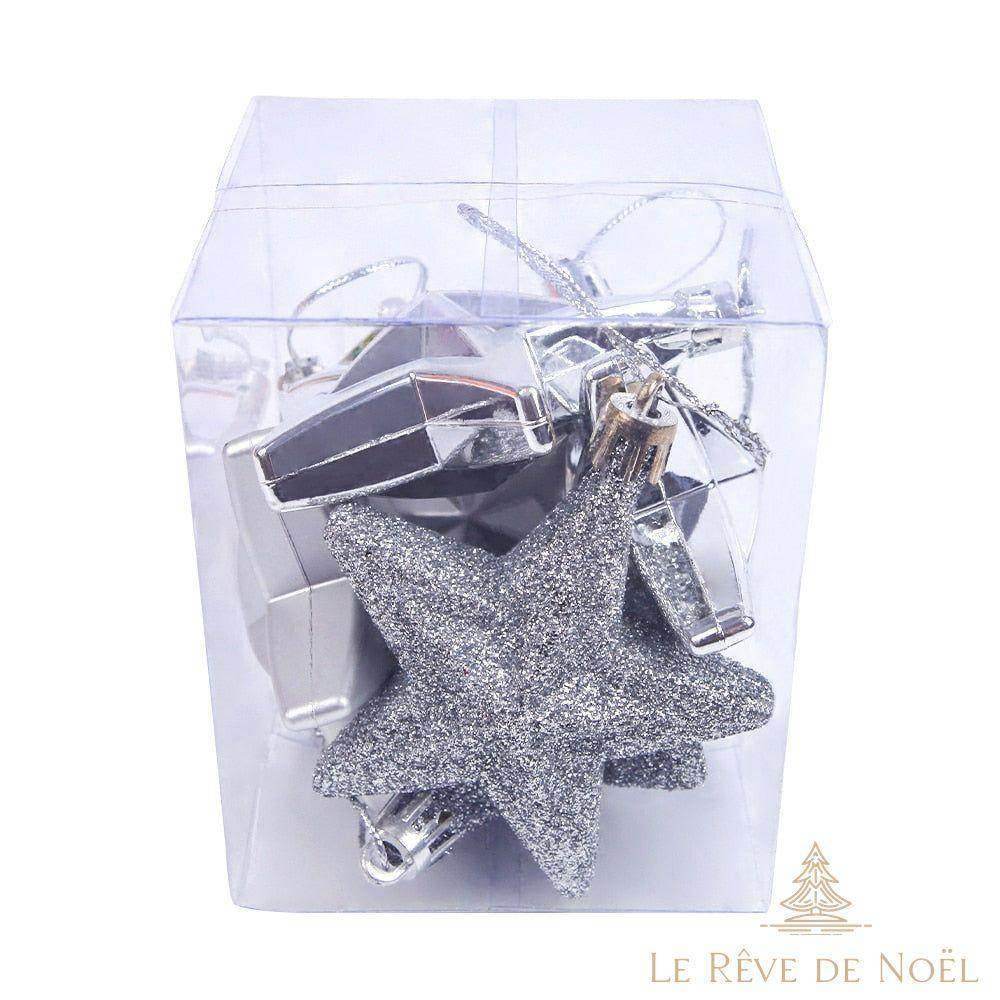 Étoile de noël : Argent