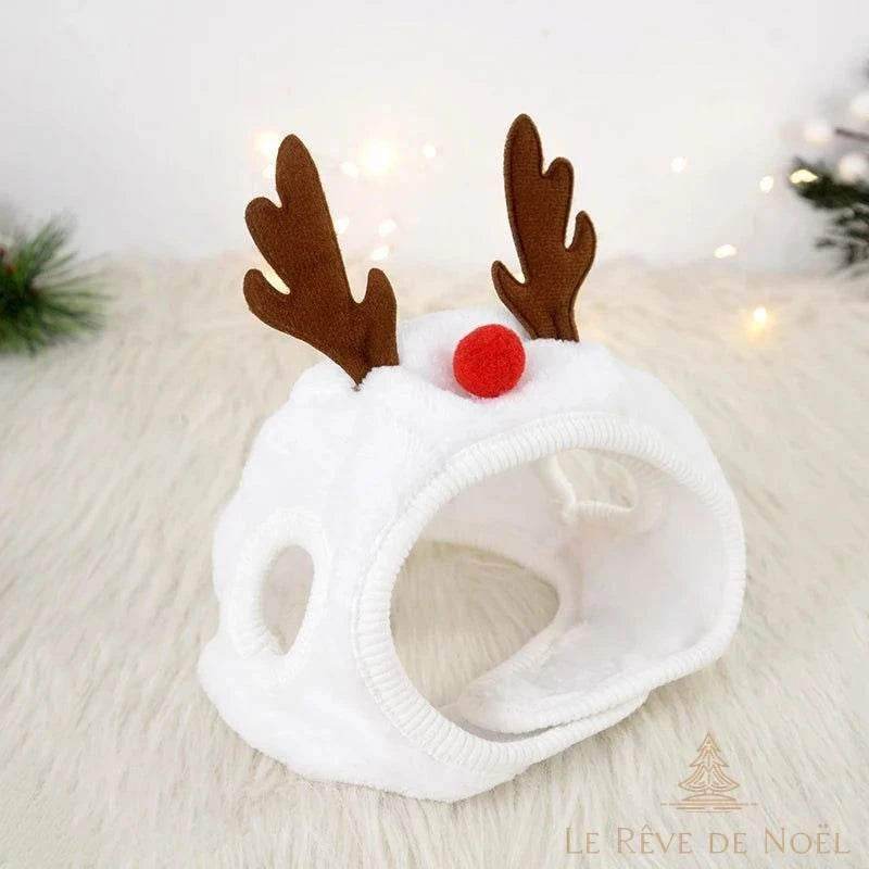 Bonnet de Noël pour chien