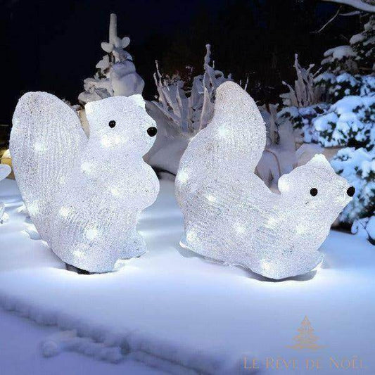 Lot de 2 écureuils acrylique illuminé