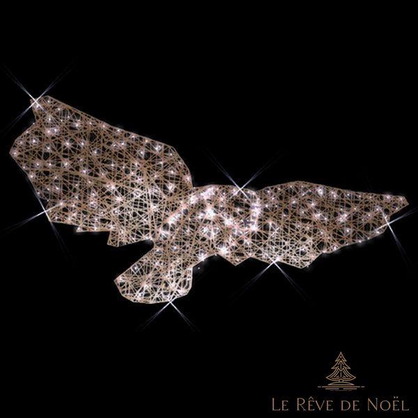 Hibou illuminé