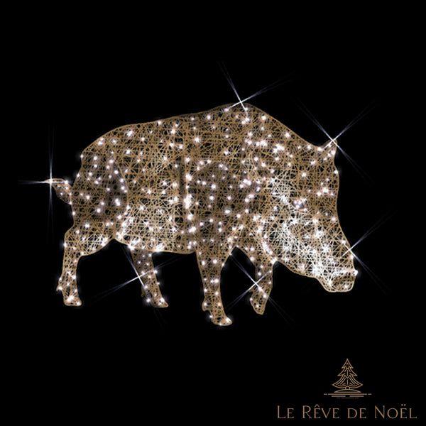 Sanglier illuminé