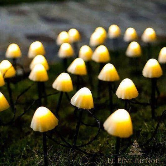 Guirlande lumineuse de sol - champignons