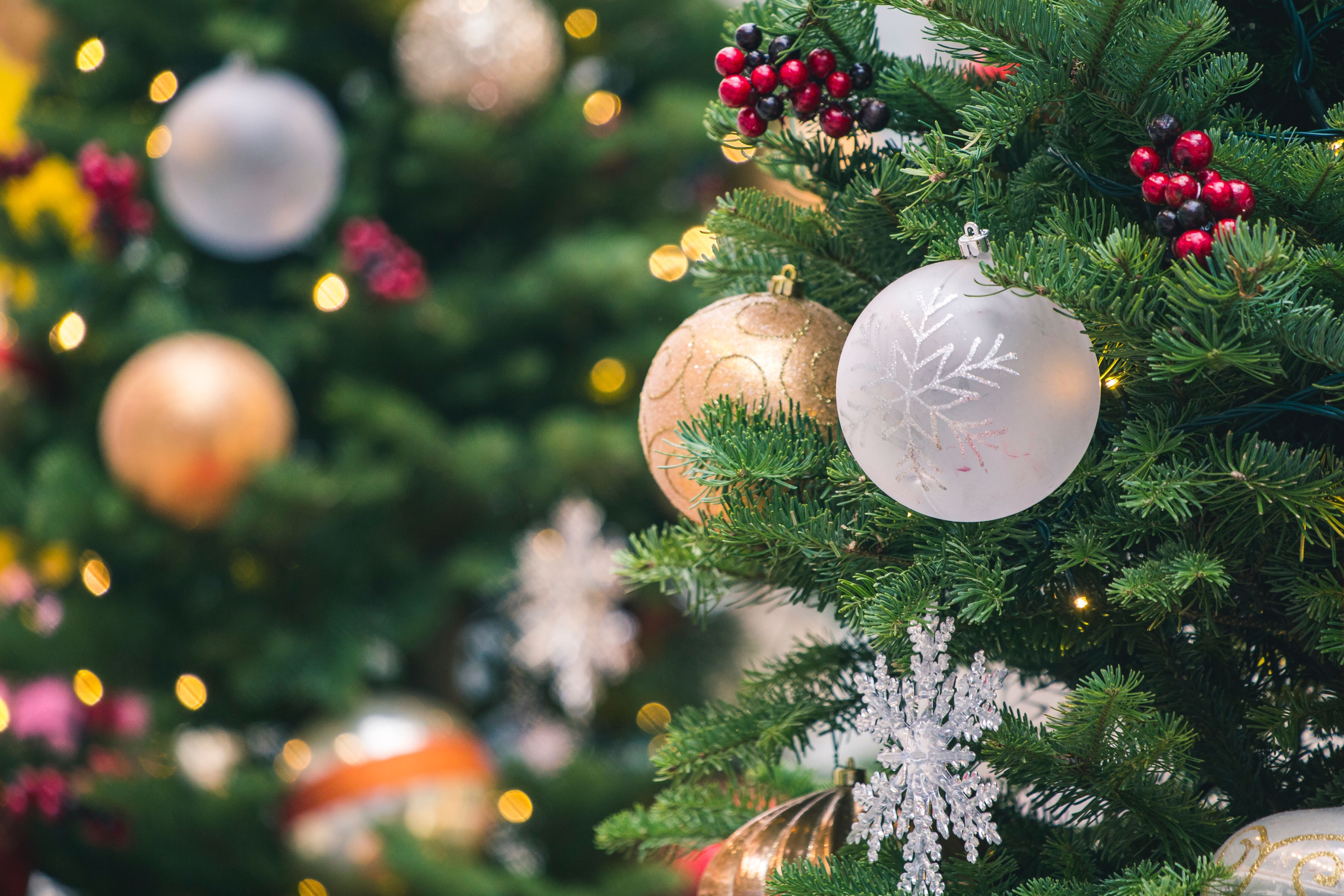 Comment les sapins de Noël sontils devenus une tradition des vacances