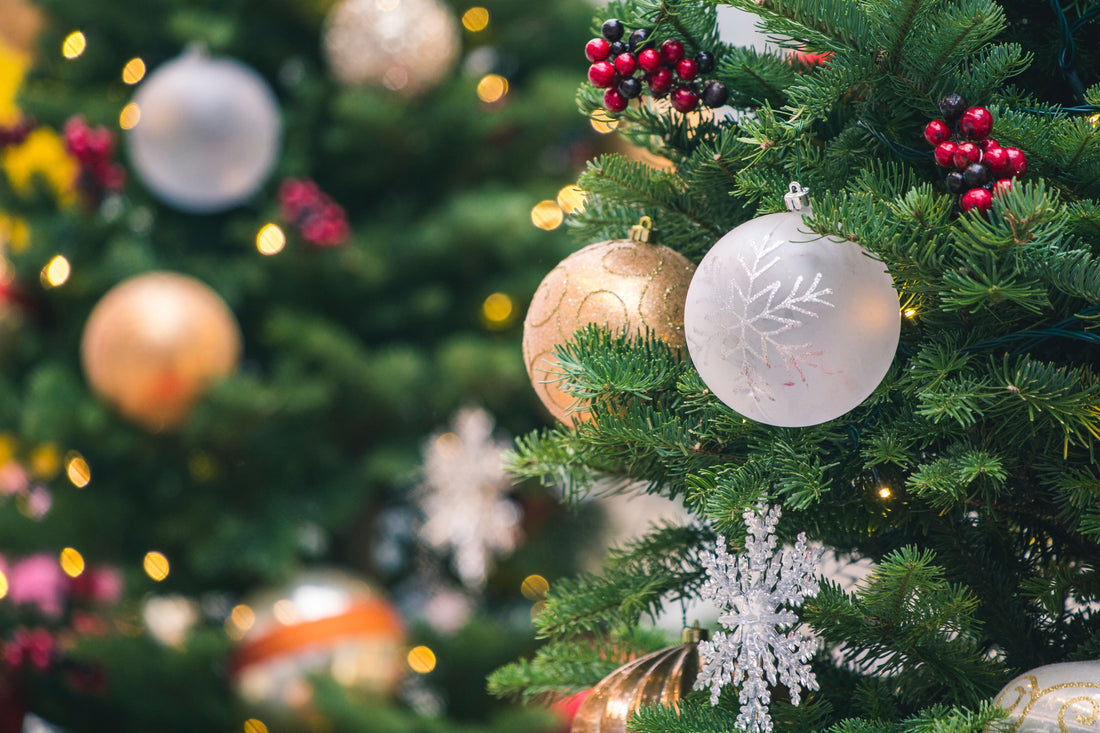 L'origine du sapin de Noël