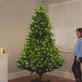 Grand sapin vert illuminé de guirlandes blanc chaud dans un salon, femme à côté pour l'échelle