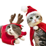 Deux chats portant une cape rouge, l'un avec un bandeau bois de renne, l'autre un bonnet à pompon