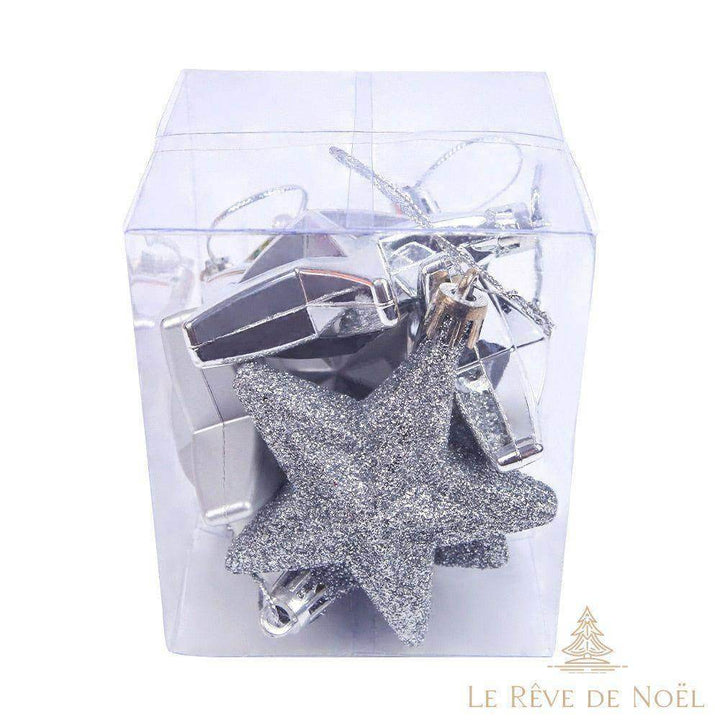 Étoile de noël : Argent