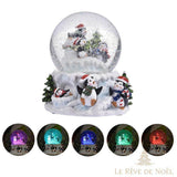 Boule à neige avec cinq vignettes montrant les couleurs de LED : violet, turquoise, bleu, vert, rouge