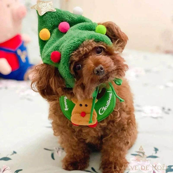 Petit chien roux bouclé portant un bonnet vert en forme de sapin et un bavoir renne assorti