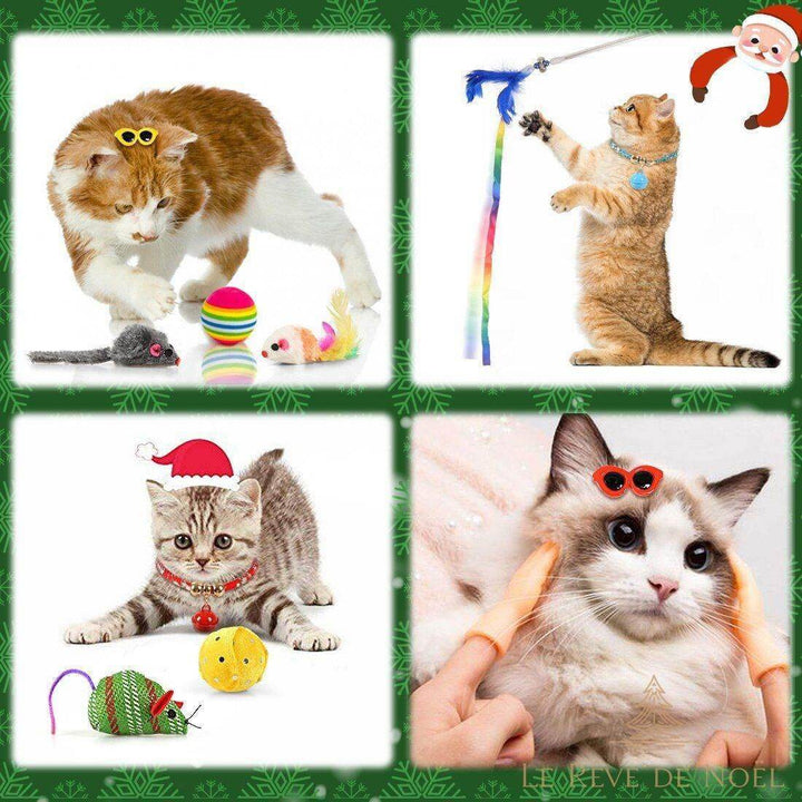 Quatre photos de chats jouant avec souris en tissu, balle colorée, canne à plumes et collier à grelot