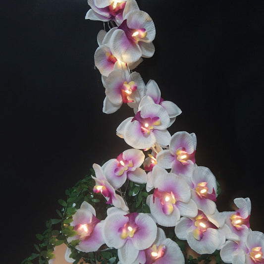 Guirlande lumineuse - motif orchidée