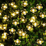 Guirlande lumineuse à fleurs blanc chaud à cinq pétales, allumée sur une haie verte en gros plan