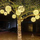Guirlande de boules lumineuses tressées accrochées dans un arbre, rue et façades en arrière-plan